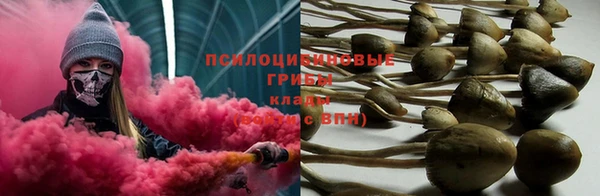 2c-b Алзамай