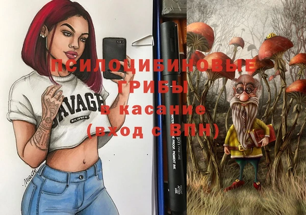 амф Алексин
